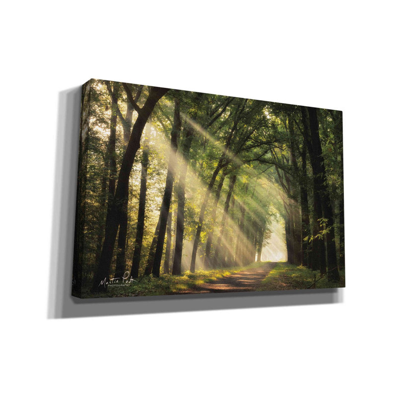 «The Light of Lochem» par Martin Podt, art mural sur toile, H 12 po x l 18 po x P 0,75 po