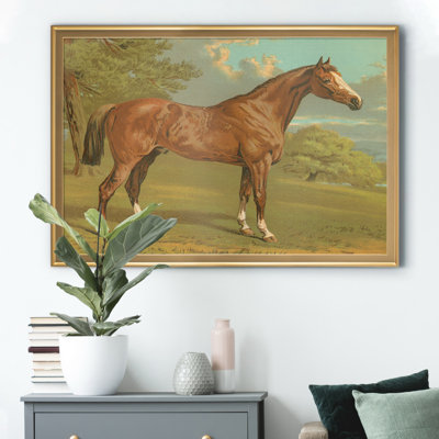 " Cassells Thoroughbred I "