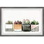Square Succulent Pots - Single Picture Frame Painting-620497032