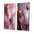 Toile tendue