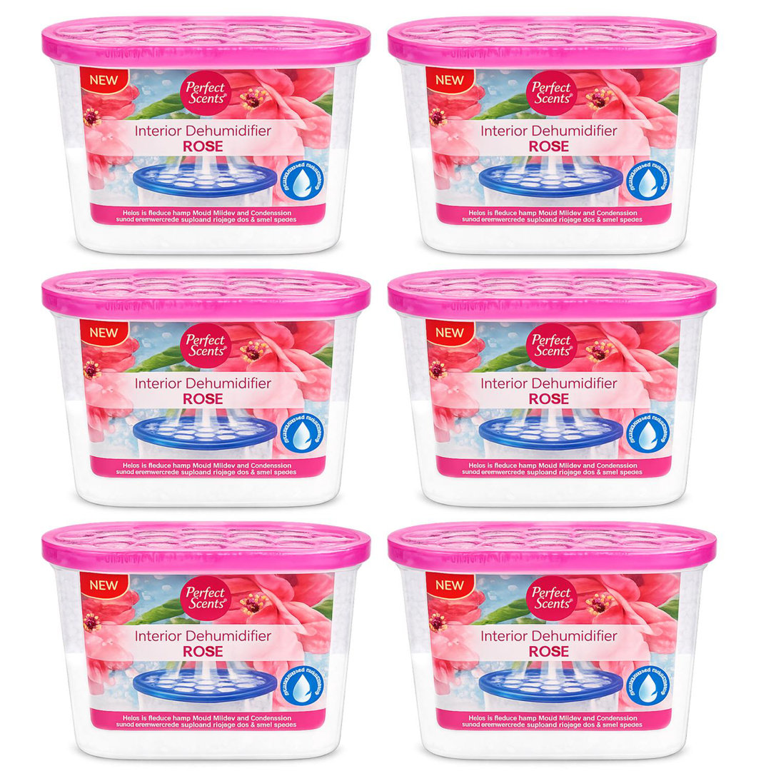 Home Moisture Absorber Rose Dehumidifier Tub Damp Condensation Mould Odour Control For Bedroom Bathroom Kitchen Wardrobe Basement (Pack Of 6)
