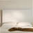 Tall Headboard Upholstered Bed / 52" High Headboard / Elegant Simplicity / No Box Spring Needed / Easy Assembly / King / Coconut Micro Suede-920341013-920341011
