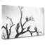 Vultures on a Tree - Wrapped Canvas-56637319