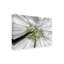Art sur toile, feuilles vertes deologi-93222253