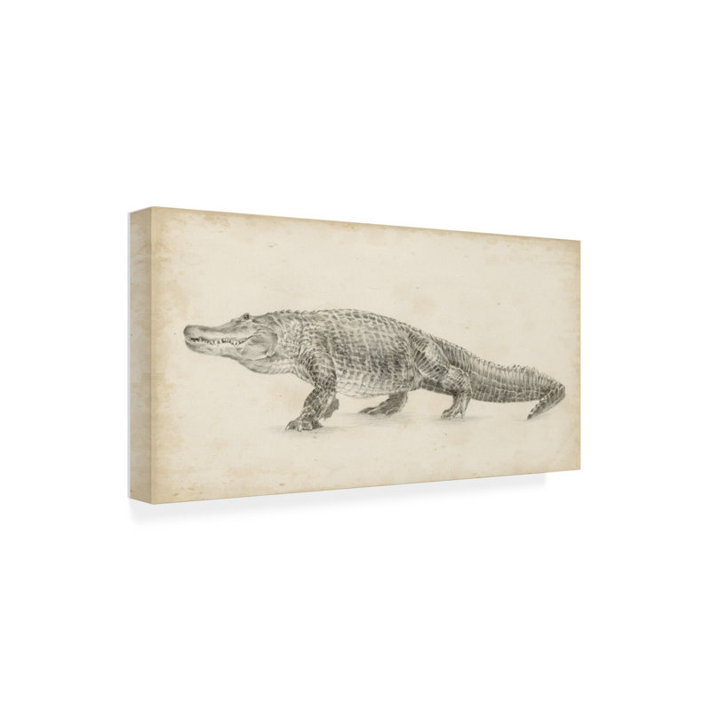 «Alligator» par Ethan Harper - peinture sur toile tendue, H 10 po x l 19 po x P 2 po