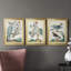 «Pastel Birds I», reproduction encadrée de qualité supérieure - prête à être accrochée-58192168-58145599-58145596