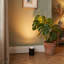 Floor Lamp-1675102334