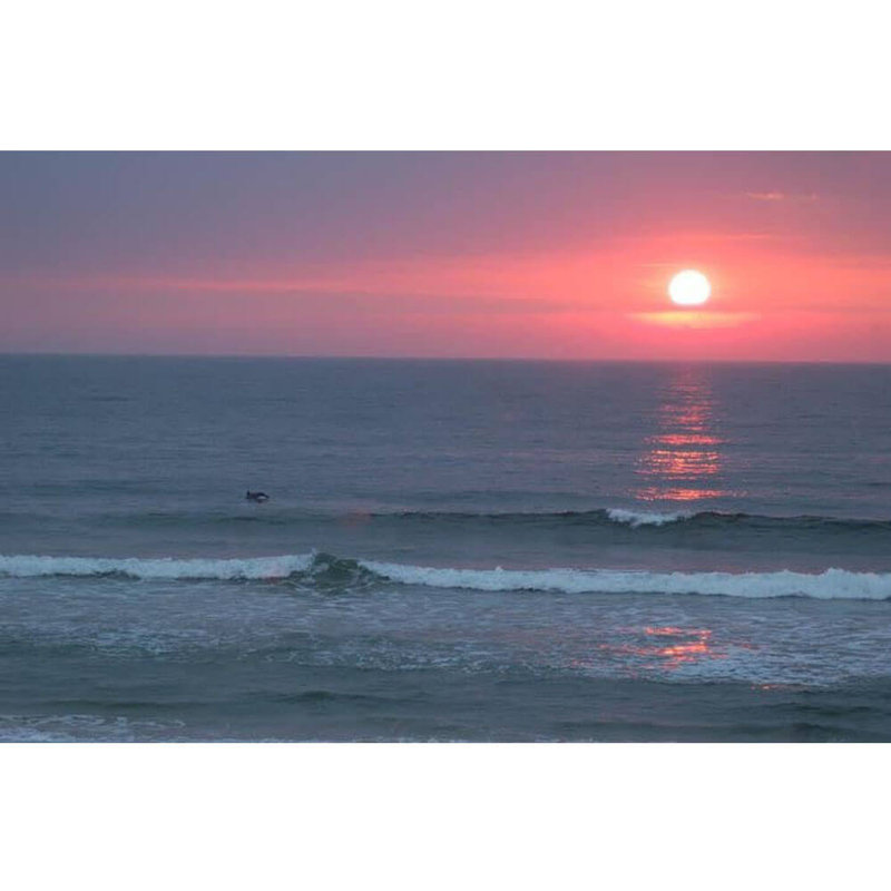 Décalcomanie murale coucher de soleil ii, 16 po x 24 po