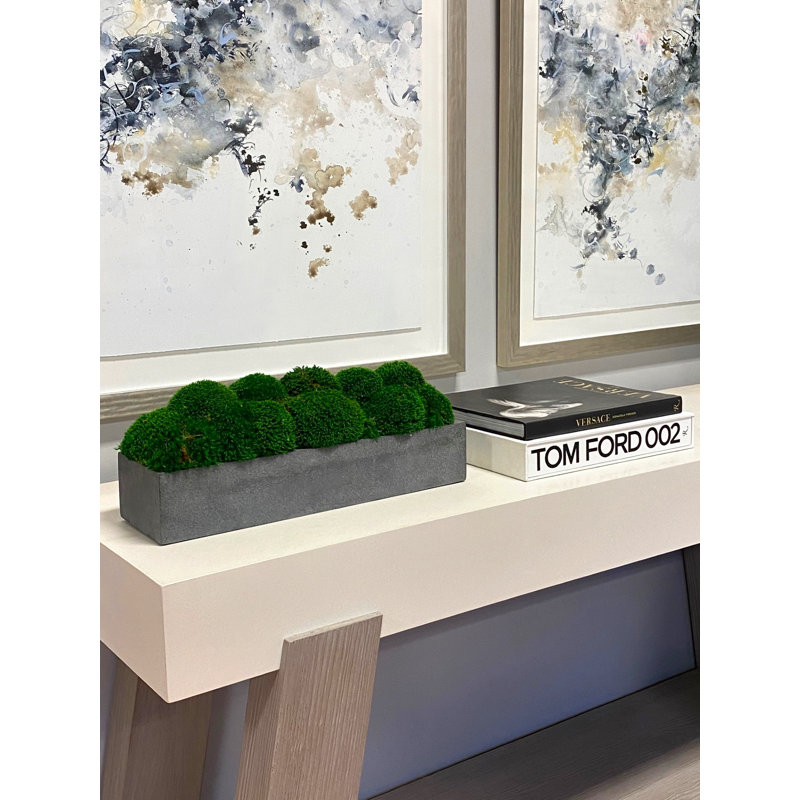 Nature's Nostalgia Moss Plant in Fiberstone Planter, Gray, 8'' H x 19'' W x 8'' D