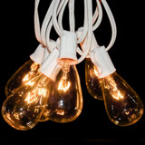 Edison String Lights Outdoor 25 - Bulb 25'' Plug-in String Light