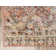 Polli Oriental Indoor Rug
