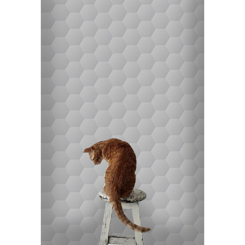 Ballera Matte Wallpaper Roll, 250 x 250cm