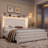 Kaliya Velvet Upholstered Platform Bed With Wingback Headboard & LED Lighting, 2 Underbed Storage Drawers, Suitable For Bedroom, Guestroom, Personalized Homestays-438663467-438518509