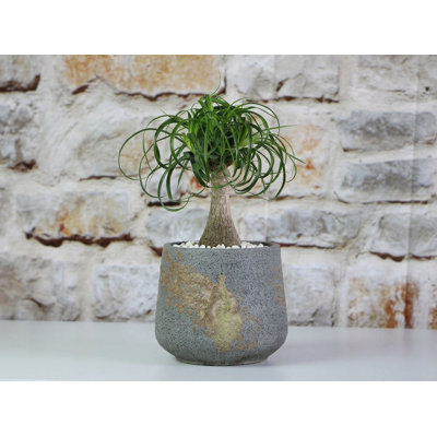 Round Hand Formed Planter