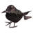 Small Crows