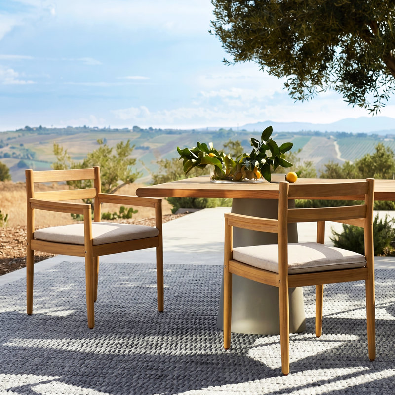 Chaises de patio en bois d'acacia avec coussins amovibles Lynx