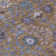 Machine Washable Indoor/Outdoor Leavittsburg ACN2231 Global Rug