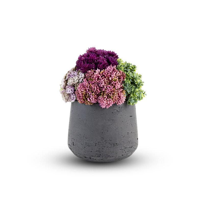 Artful Interiors Mini Sedum Arrangement
