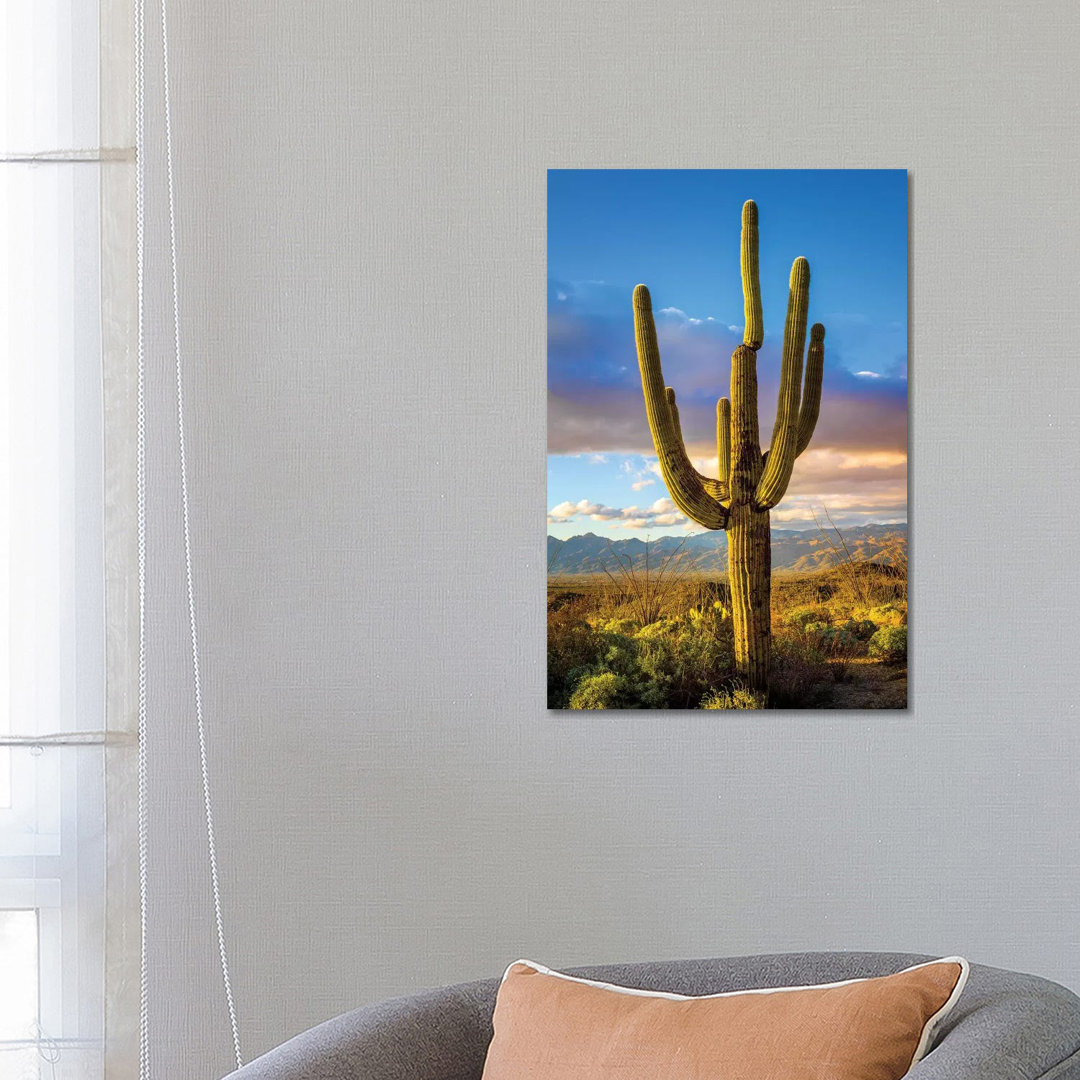 Sonnenuntergang Saguaro National Park Ost III von Susanne Kremer - Galerie-verpackte Leinwand Giclée auf Leinwand