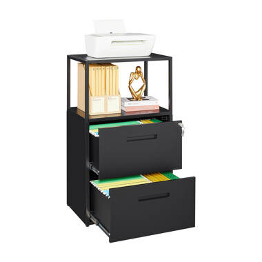 Vertical File Cabinets for Home Office with Lock and 2 Drawers, Office Organization and Storage Latitude Run Color: Black