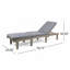 WOOD CHAISE LOUNGE W/ CUSHION-634247303-634247300