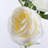 Silk Rose Arrangement-1168087026