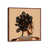 Classic Brown Wood Framed is unavailable