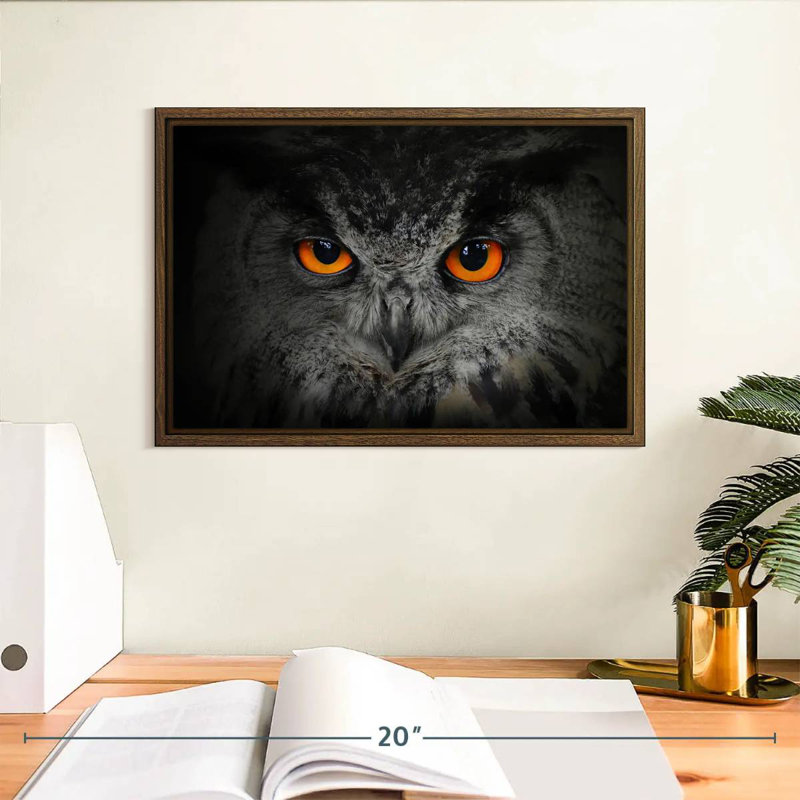 Hibou gris envoûtant, 13 po x 9 po, Cadre flottant noyer