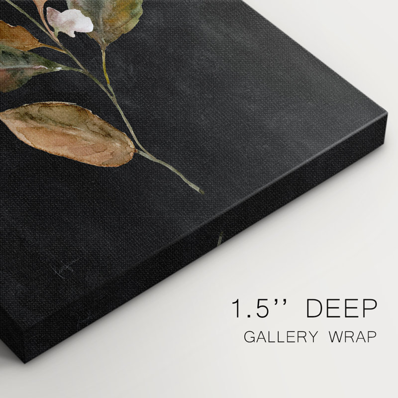 Botanique sur fond noir délavé II - Cavas enveloppés de galerie, H 60 po x l 40 po