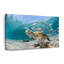 Curacao, poisson et tortue sur toile-825775823