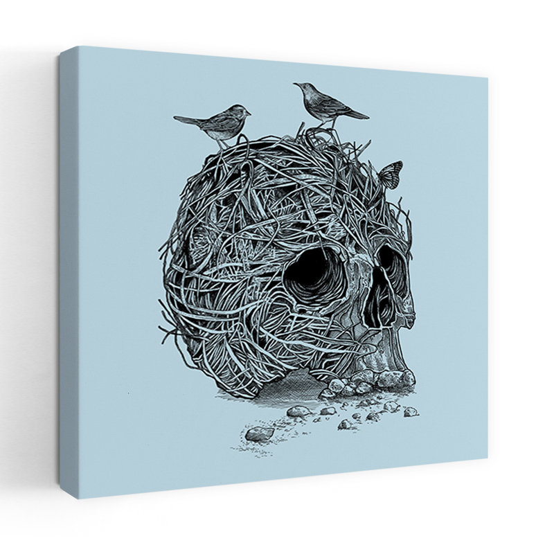 Crâne, nid, oiseau, art urbain contemporain, H 48 po x l 48 po