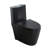 Compact One Piece Toilet 12" Rough-in, Elongated Toilet with Comfort Chair Seat ADA Height 17.1", Dual Flush 1.1/1.6 GPF & MAP 1000g, Space Saver Design(Seat Included)-107232114