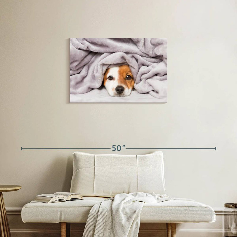 Couverture pour chien Brampt, H 20 po x l 30 po