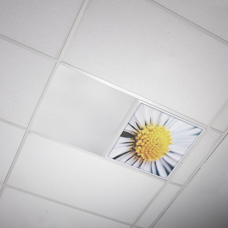 Flower Square Fixture Component Ceiling Light