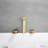 2 Handle Roman Tub Faucet and Diverter