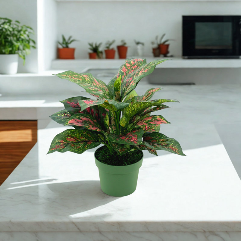 Faux rose et vert Dieffenbachia