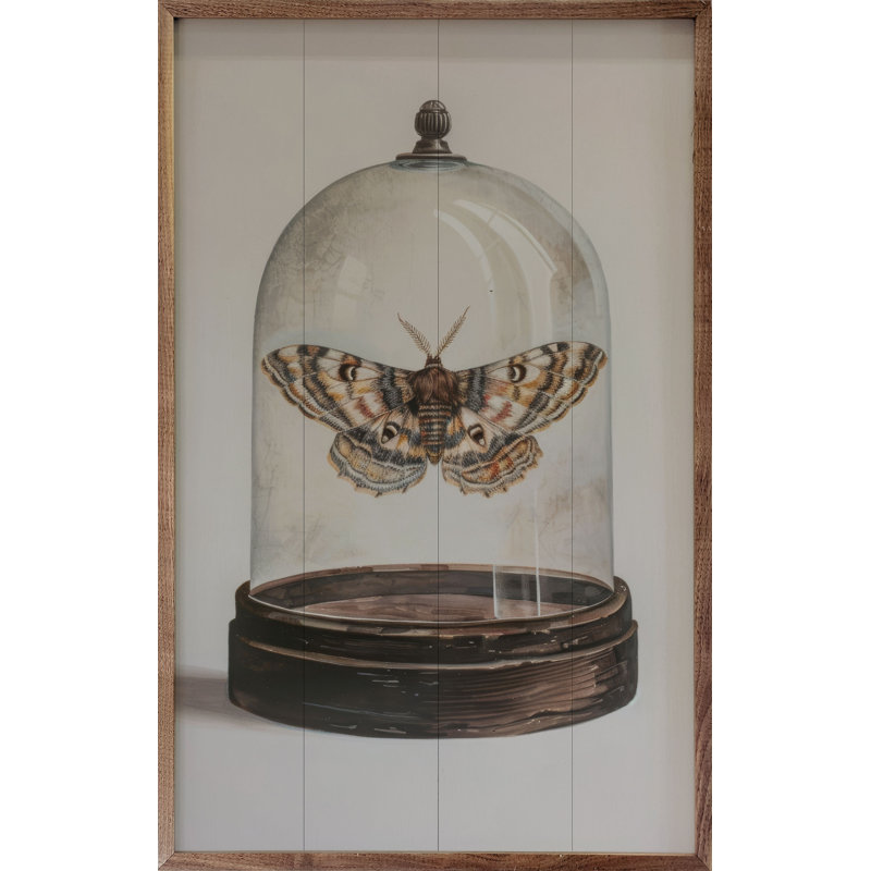 «Glass Moth I» par Petals Prints Design, H 36 po x l 24 po