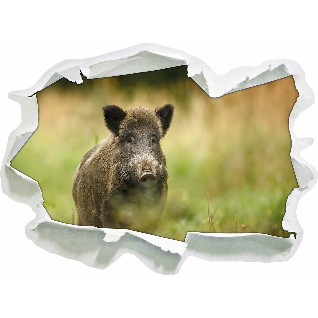 Wandtattoo Stolzes Wildschwein im Wald