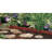 5.5'' H x 12'' W Red Resin