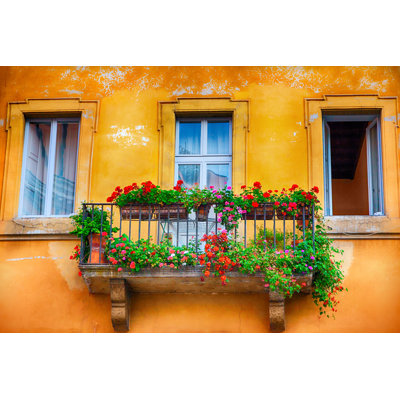 " Window In Rome "