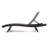Salem Pe Wicker Chaise Lounge-1217177726-1217177721