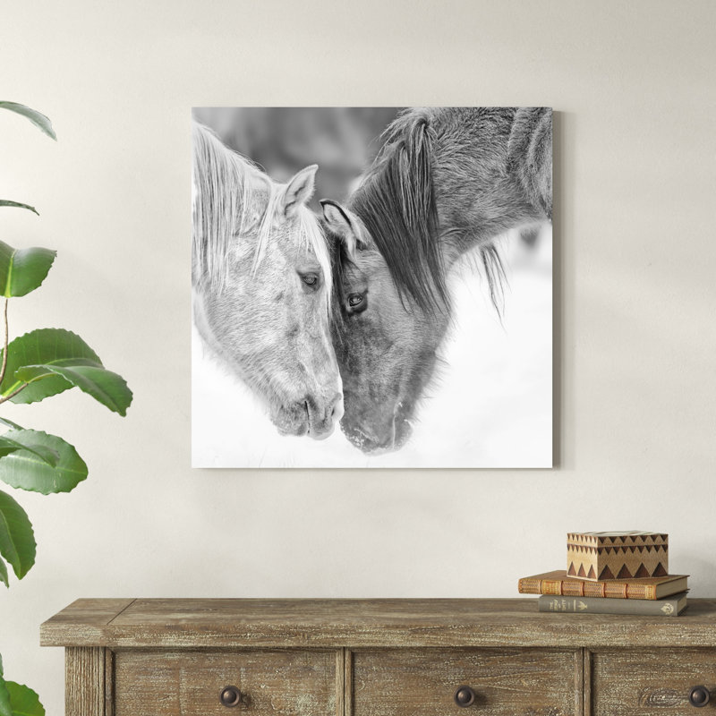 "B&W Horses VII" par PHBurchett, impression sur toile, H 30 po x l 30 po, Toile tendue, Sans cadre