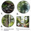 Forêt Bhumika, parc national Redwood I - reproduction-1997091157-1997091183