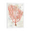 Textured Coral IV by Avery Tillmon - Print on Canvas-42157034-101413613
