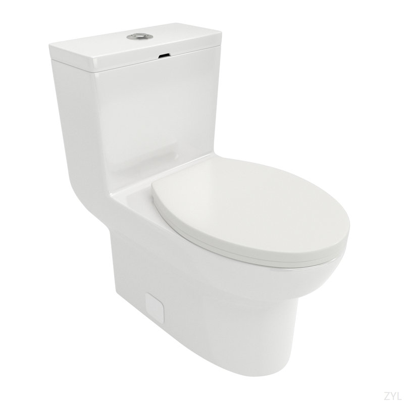 Toilette monobloc en céramique, avec chasse d'eau