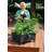 Warlick City Picker Raised Bed-767069969