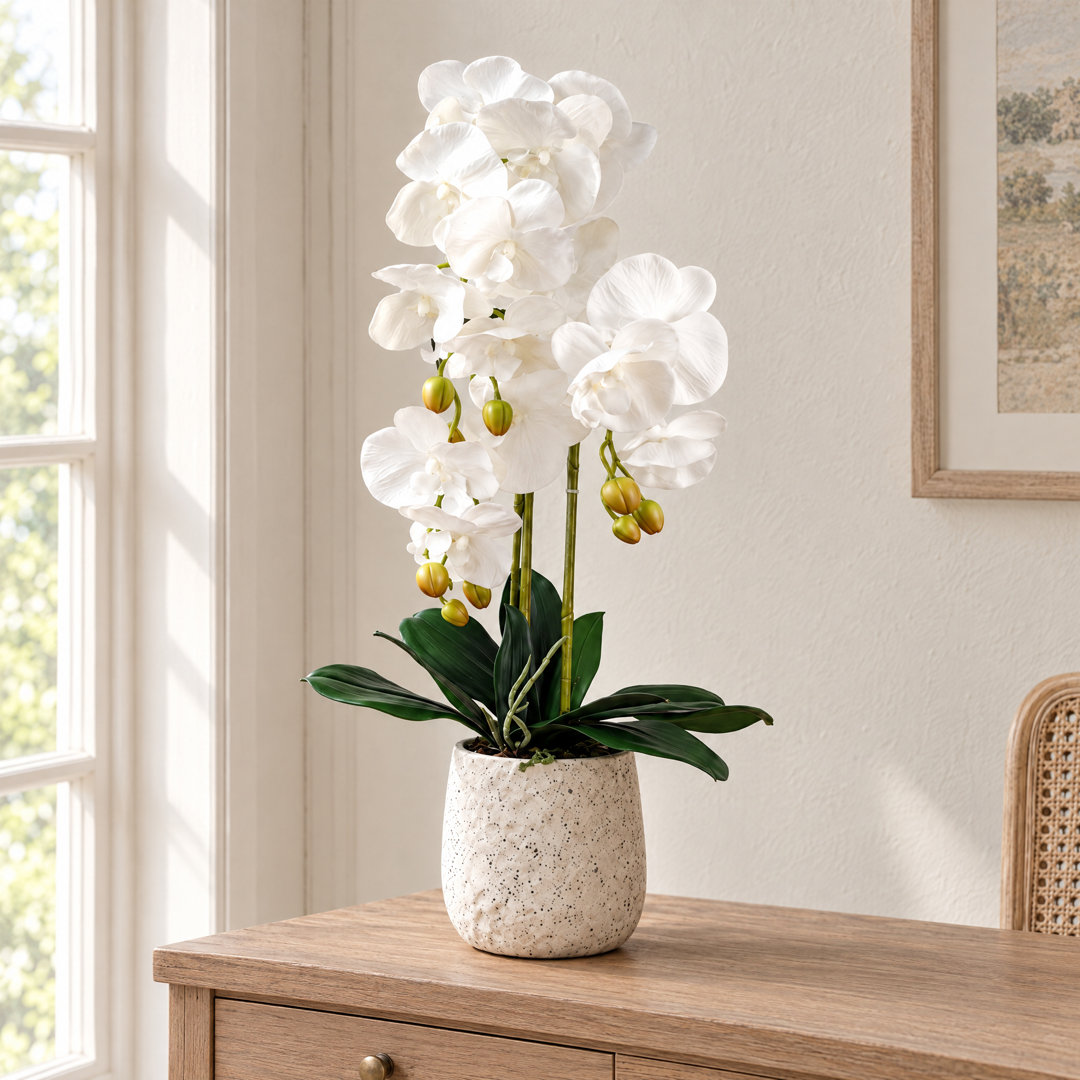 Wayfair UK