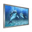 Deux dauphins bleus - Impression sur toile-67463975-67463995