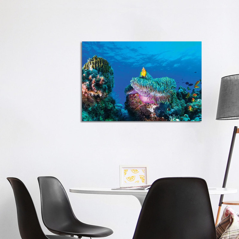 Sea Life by Roberto Marchegiani - Wrapped Canvas Gallery-Wrapped Canvas Giclée, 101.6 cm H x 66.04 cm W x 1.91 cm D