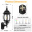 Aquira Satin Black Outdoor Wall Lantern